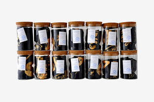 深圳平面设计协会在标本衍生品丝巾领域的工业设计服务创新